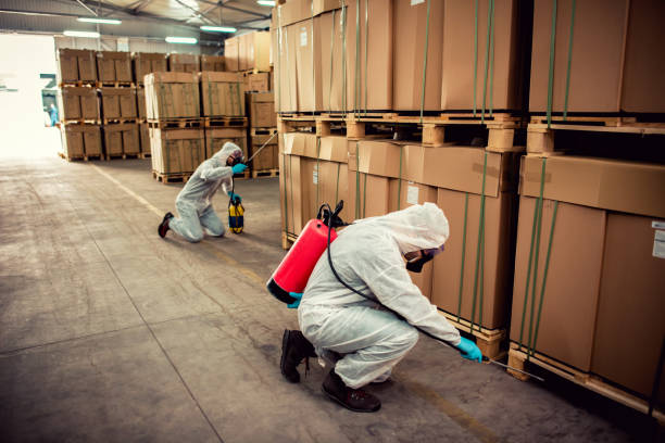 Best Local Pest Control Services  in North Highlands, CA