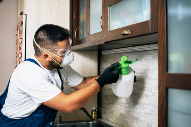 Best Commercial Pest Control Services  in North Highlands, CA